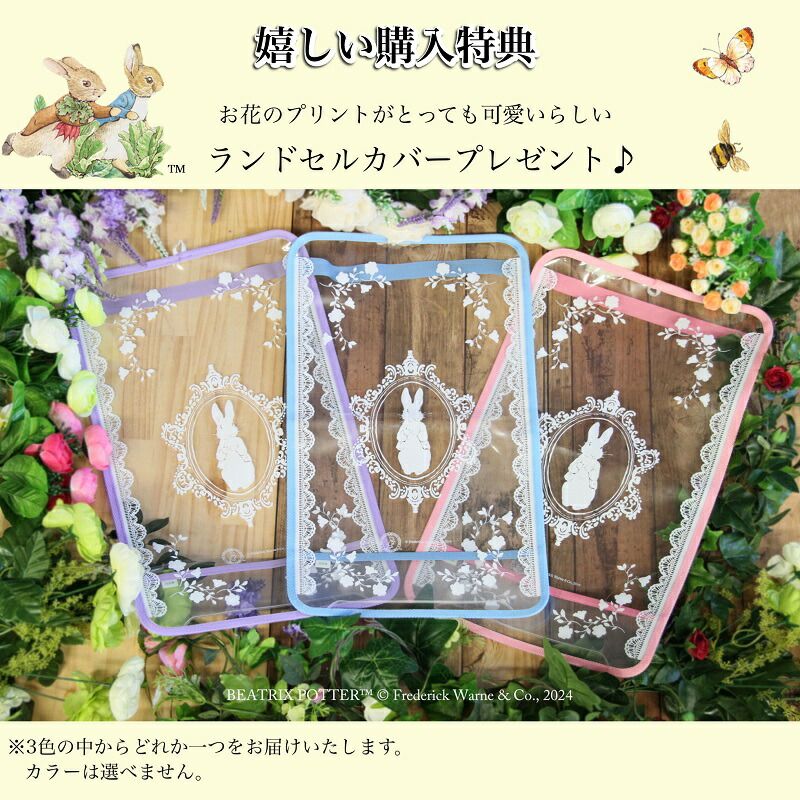 1年生