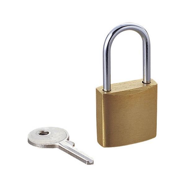 (まとめ) エレコム セキュリティロック用南京錠 ESL-NK 1個 【×10セ