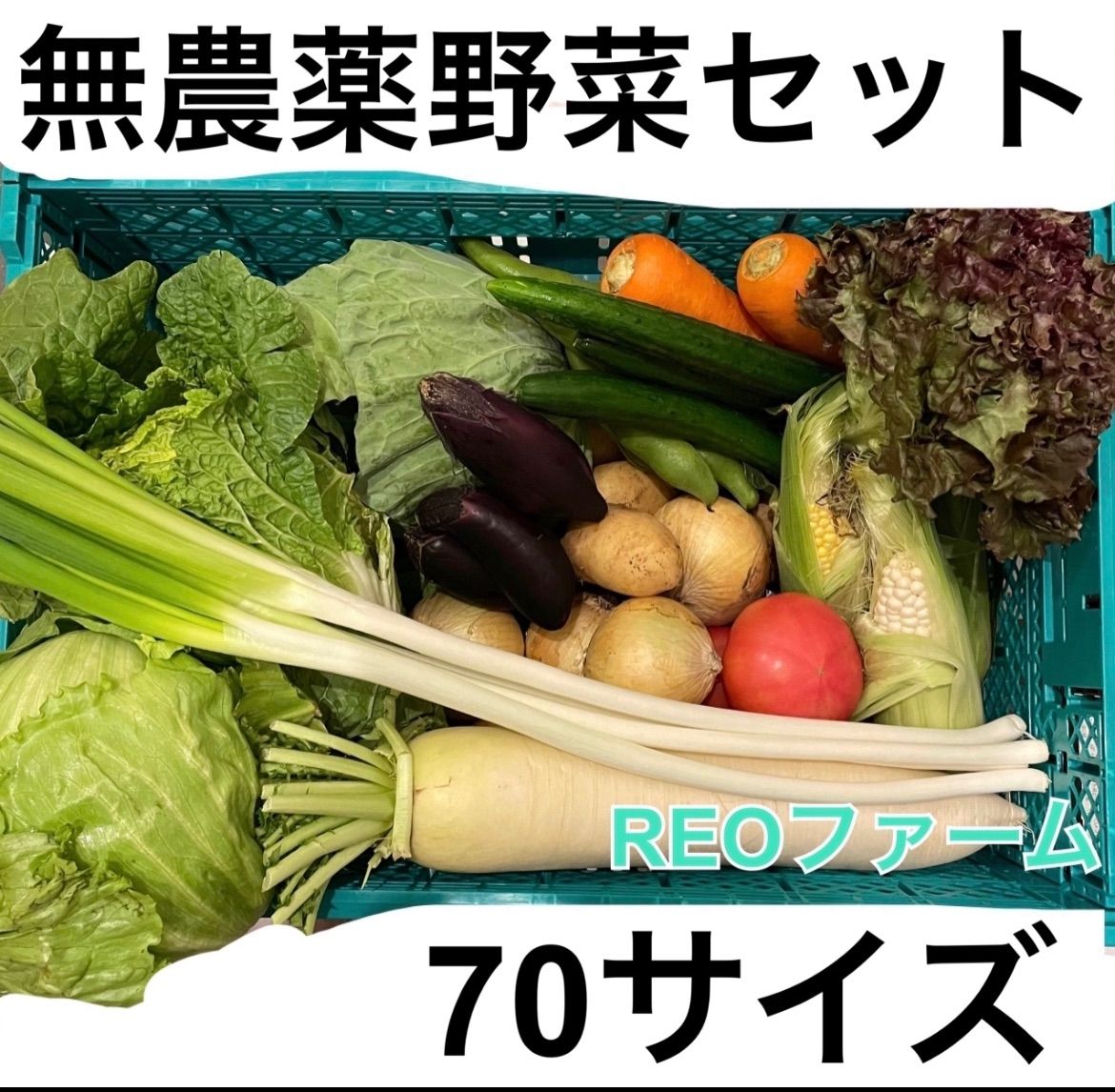 愛知県産 野菜 詰め合わせ セット 70サイズ REOファーム - 野菜