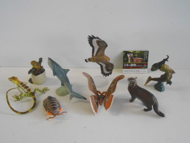 ♯Kwi18FeカプセルQ日本の動物7八重山諸島ヤマネコの島S入全8種