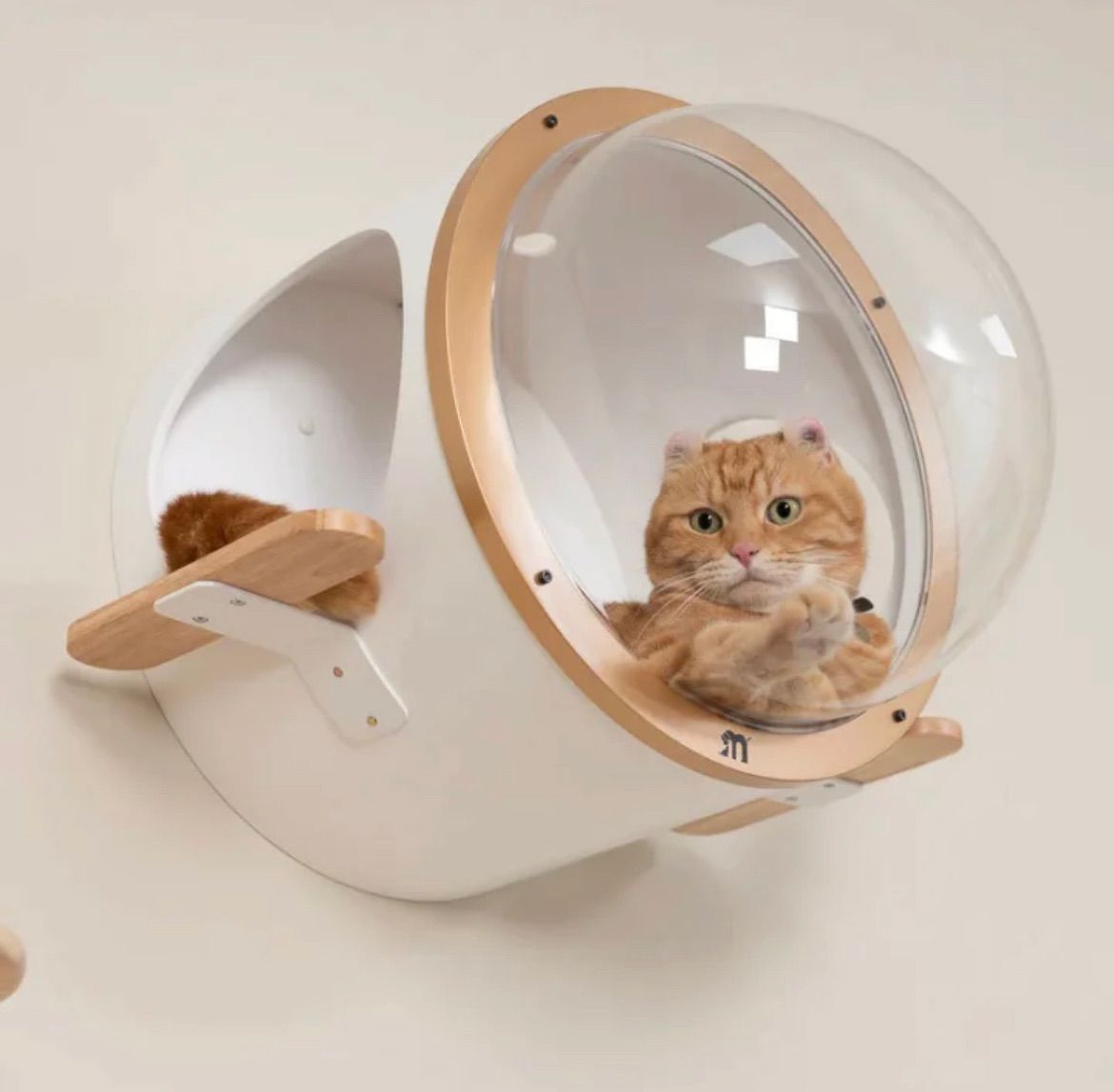 壁取り付け 全猫種