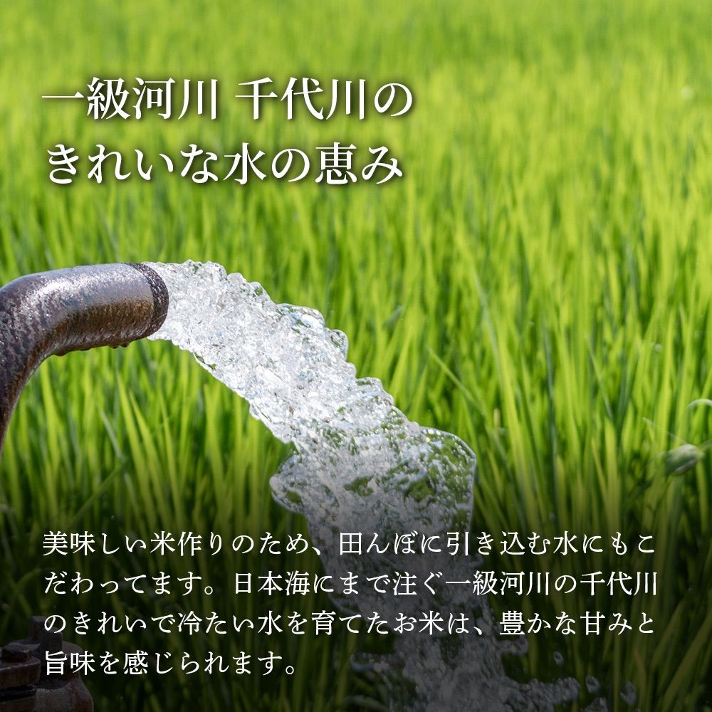ひとめぼれ
