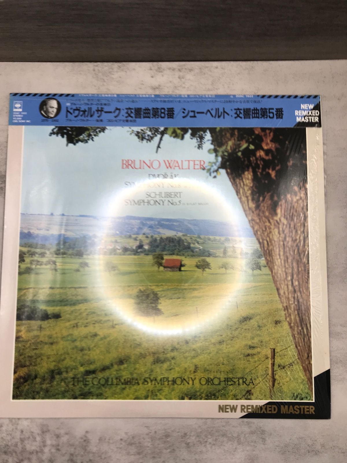 レコード6枚売りバラ売り可能！ 昭和レコード 男性 8枚セット まとめ売り バラ売りも可 - メルカリ