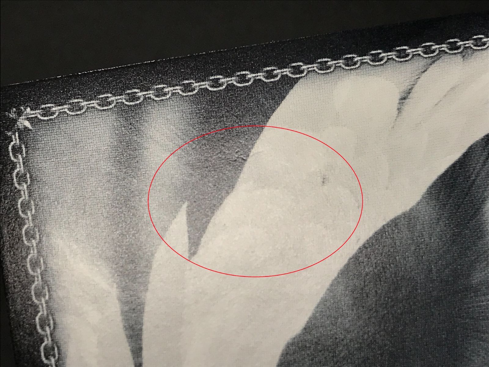 WS SP GGO最強のスナイパー シノン SAO/S100-076SP 金箔押し