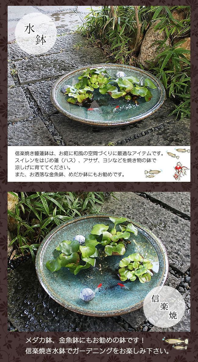 信楽焼 陶器 水鉢 メダカ鉢 金魚鉢 睡蓮鉢 18号緑古信楽浅型水鉢 su-0186