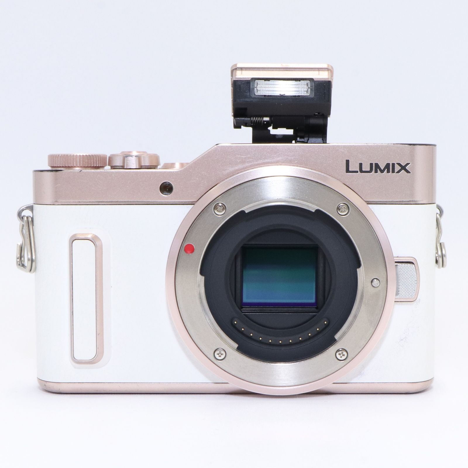 パナソニック LUMIX DC-GF10 ボディ ミラーレス一眼 ホワイト dc