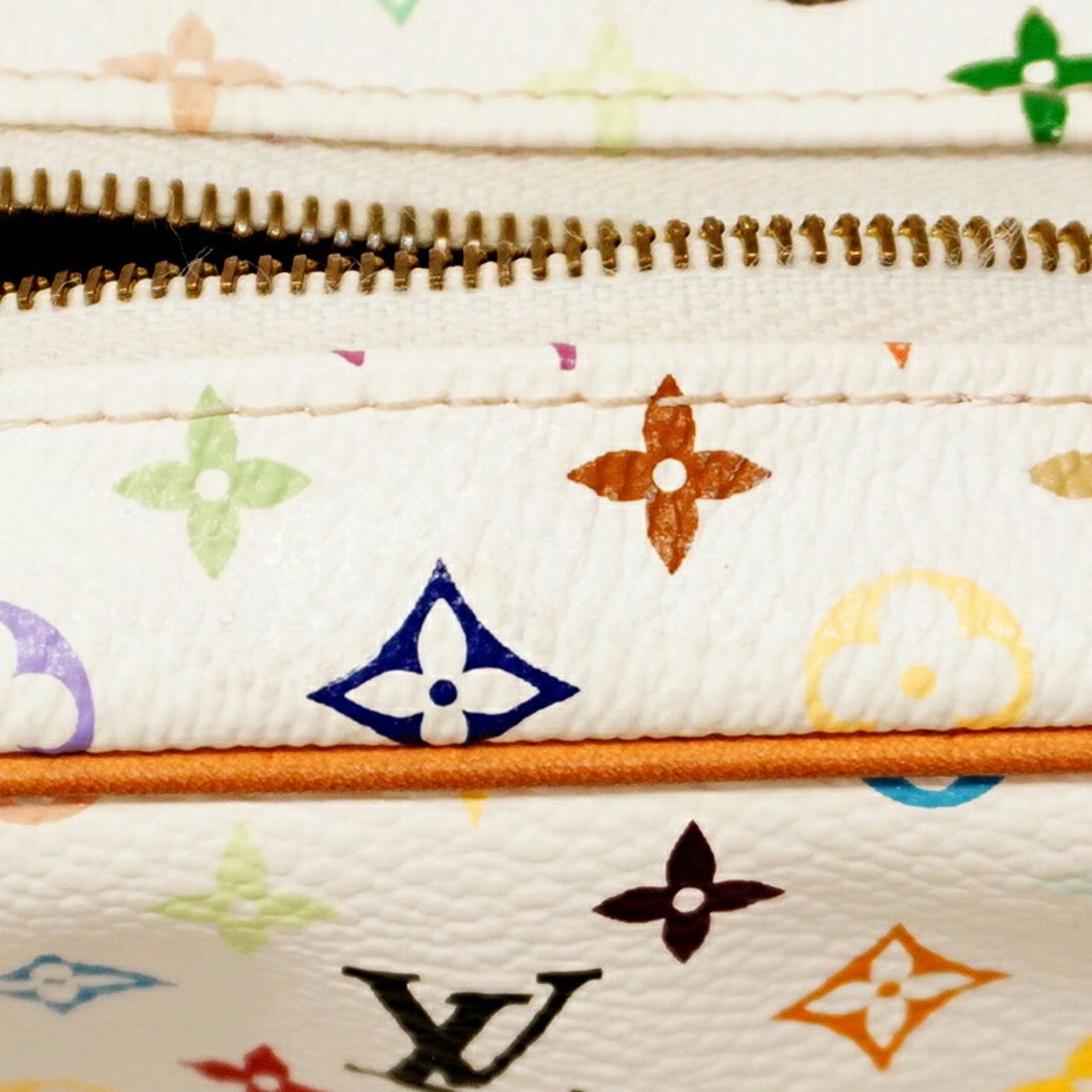 LOUIS VUITTONルイヴィトン マルチカラー トゥルースワピティ ポーチ