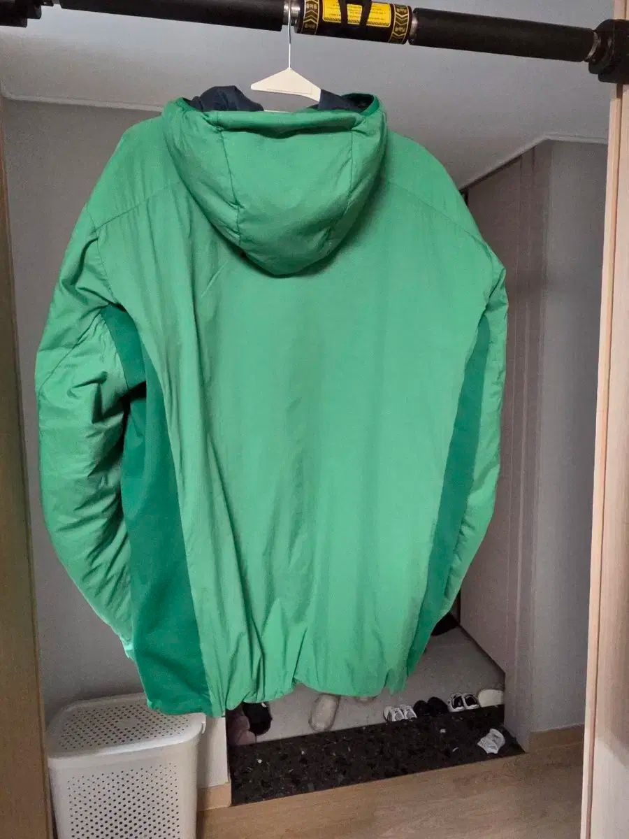 アトム lt ジャングルグリーン large ラージ