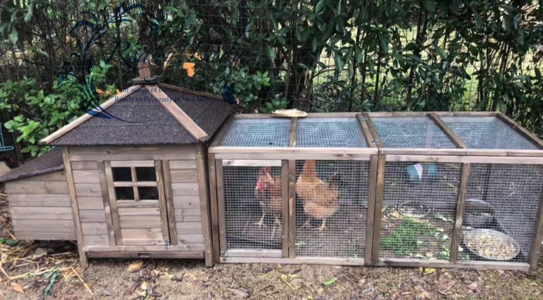 新品未使用 鶏小屋 屋外 庭用 ニワトリかご トリ小屋 別墅 ウサギの巣 