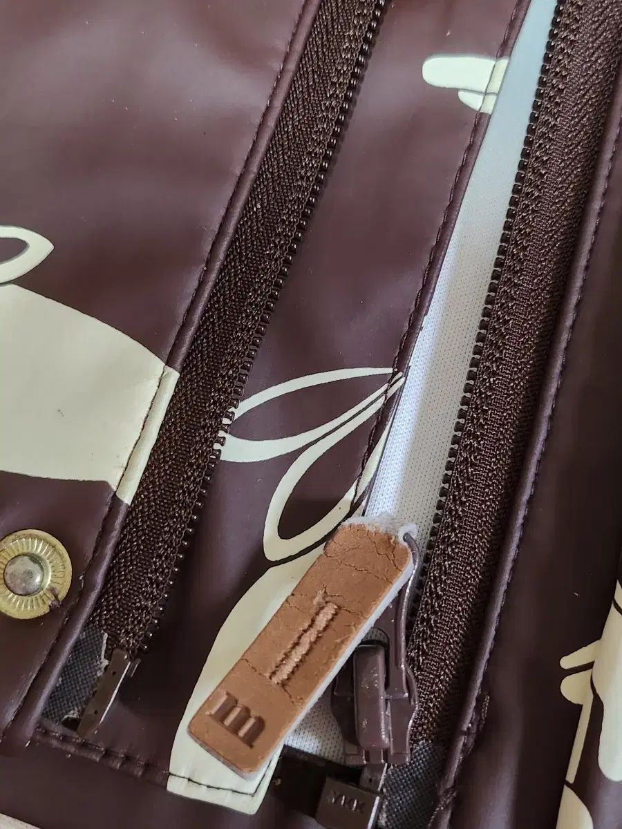 ミニロディーニ