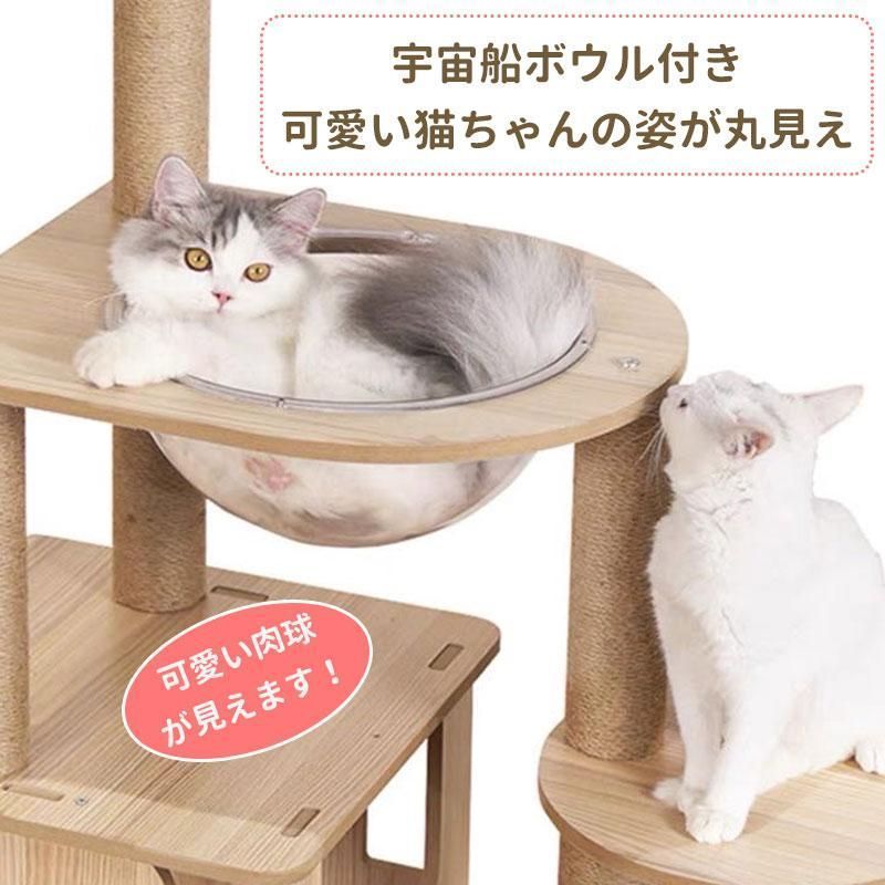 ャットタワー