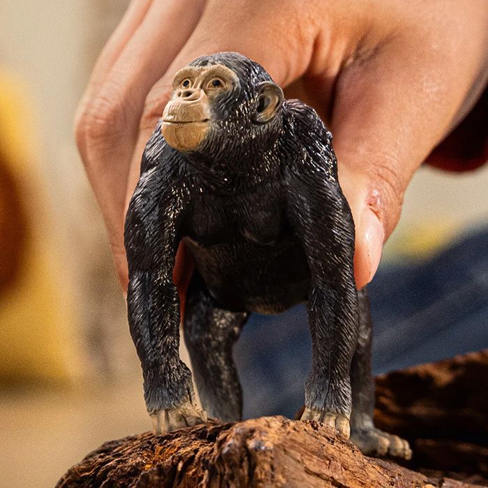 シュライヒ フィギュア チンパンジー 14883 Schleich 4.7×8.3