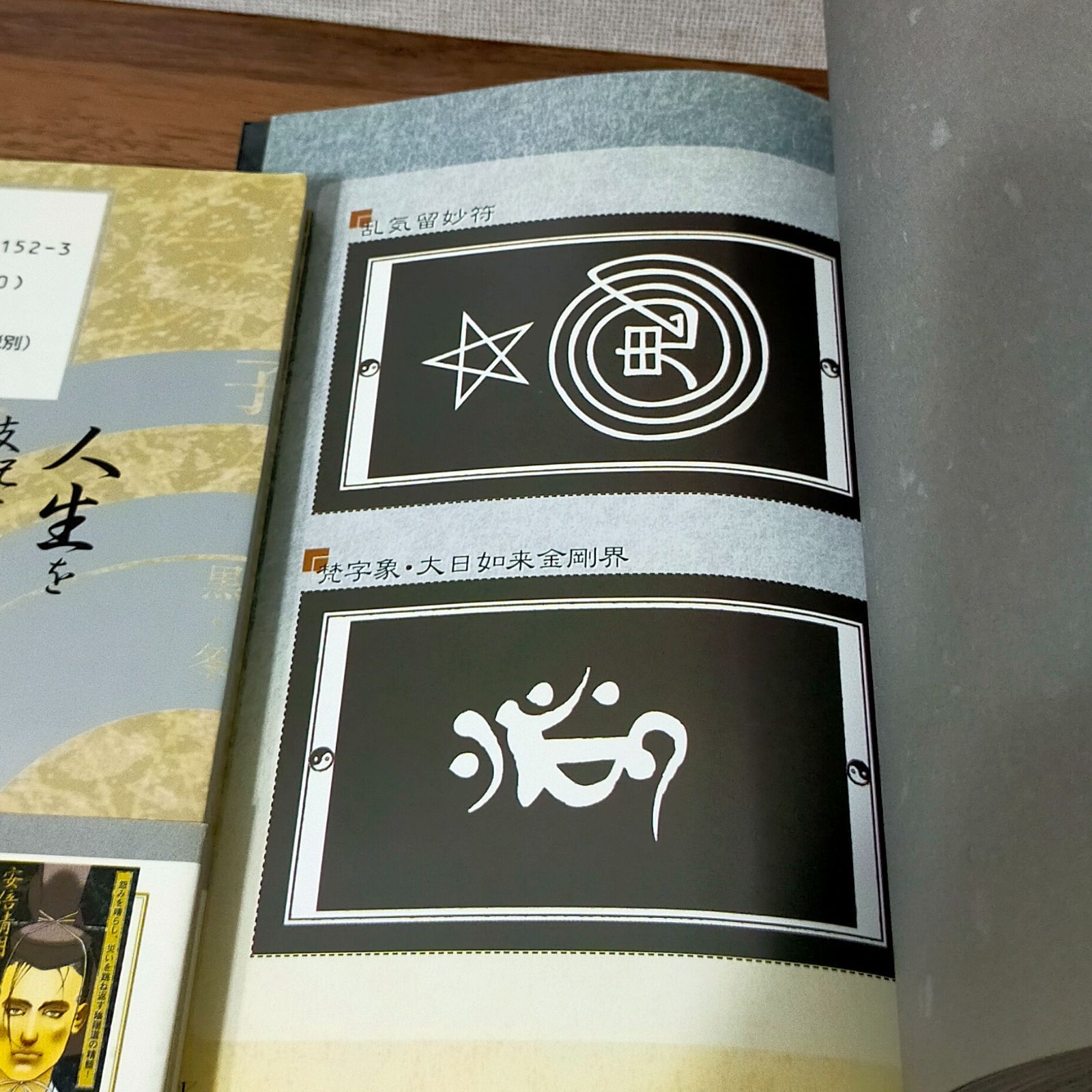 安倍晴明秘伝まじない術 闇の書: 恨みを晴らし、災いを跳ね返す