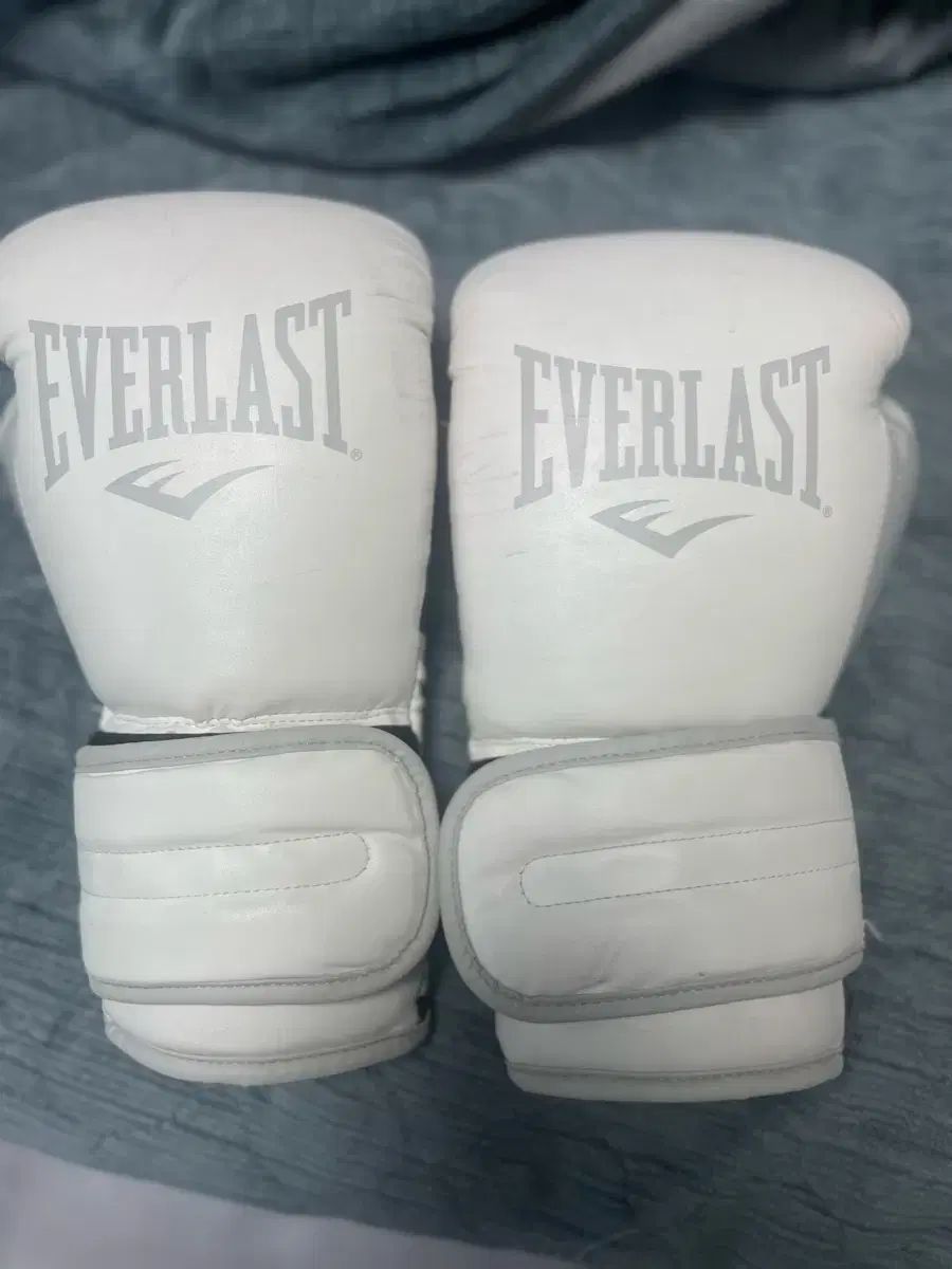 エバーラスト　パワーロック14オンス Everlastエバーラストパワーロックレーストレーニンググローブ