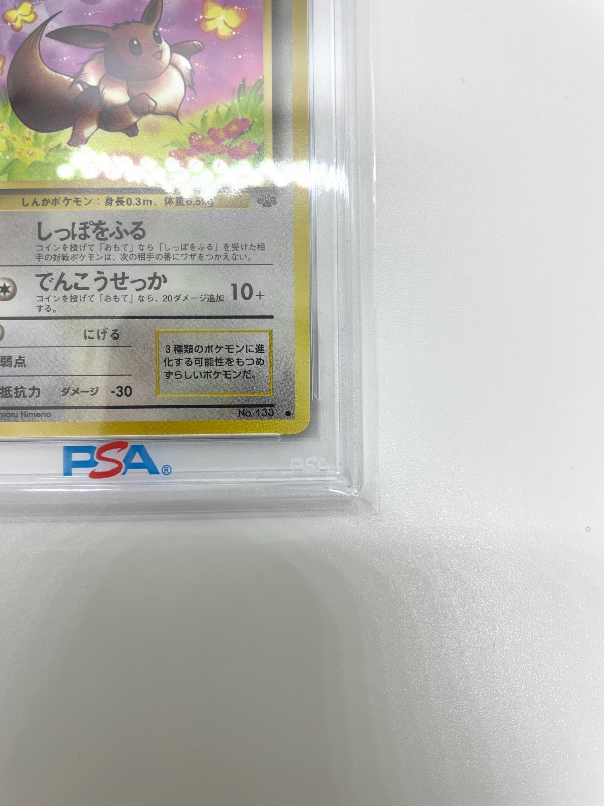 PSA10】ポケモンカード 旧裏面 イーブイ LV.12 ポケカ 拡張パック第2弾