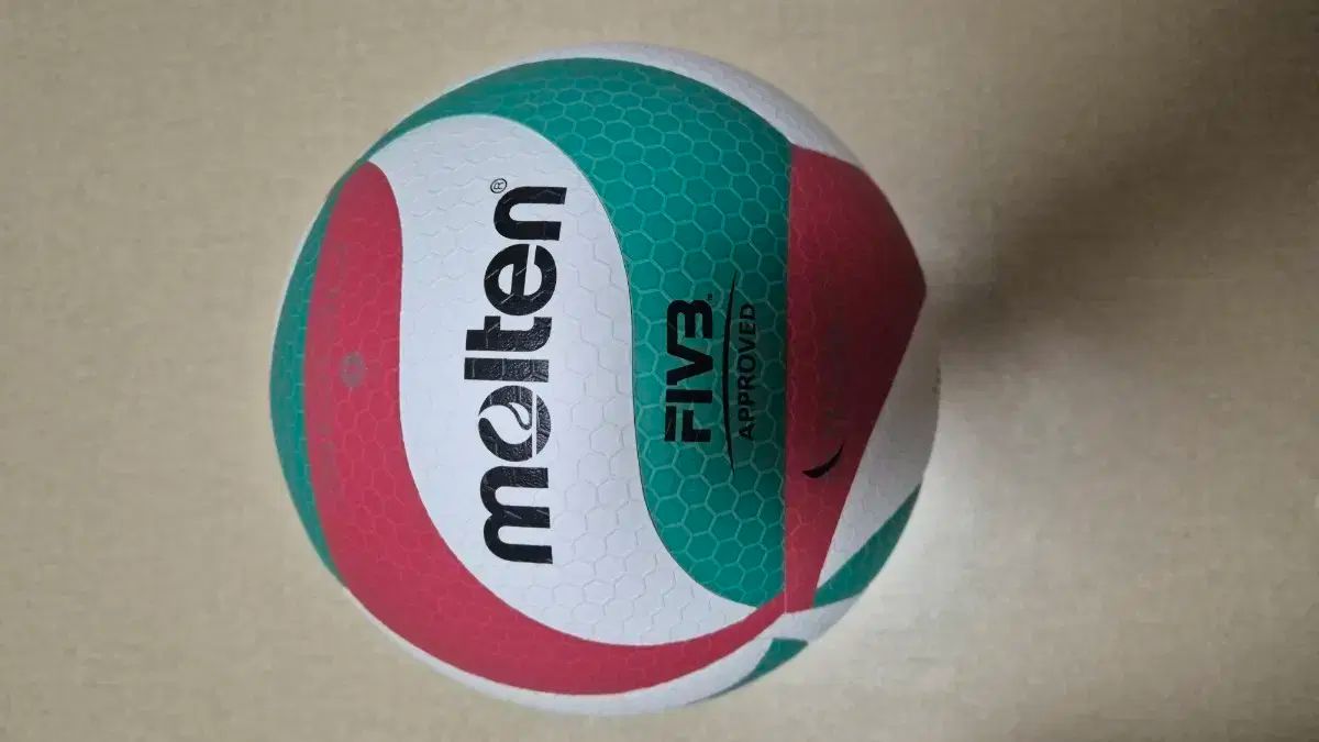 モルテン バレーボール V5M5000 5号 FIVA 国際バレーボール大会 公式球