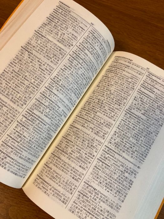 函入り スタンダード佛和辞典】大修館書店 1973年/昭和48年 発行