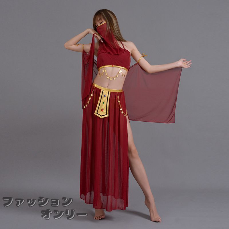 アラジン ジャスミン風 ベリーダンス 衣装 セットアップ レディース 大人 アラビアン 仮装 コスチューム 衣装 ダンス練習着 レッスン着 コスプレ ハロウィン z8jE503