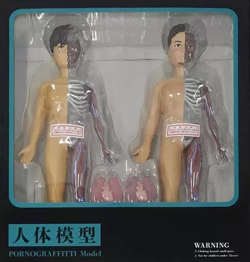 中古】フィギュア 人体模型 ～PORNOGRAFFITTI Model～(2体セット