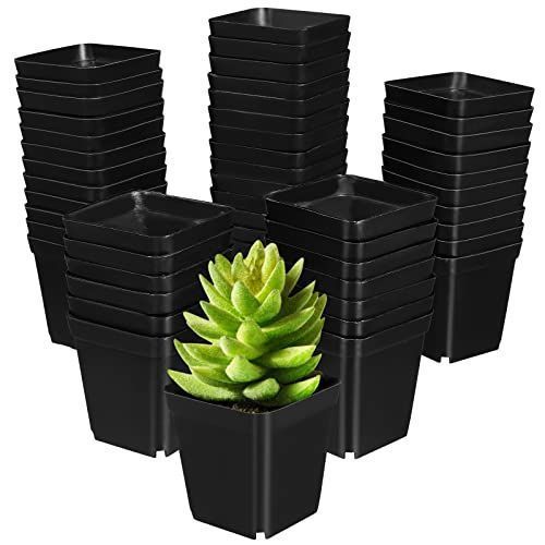 OUNONA 植木鉢 育苗ポット プラスチック 多肉植物 サボテン鉢 50pcs 排水穴付き 室内 ミ二植木鉢 観葉植物 ハーブ 花栽培適用 小四角 インテリア 屋外用 ブラック