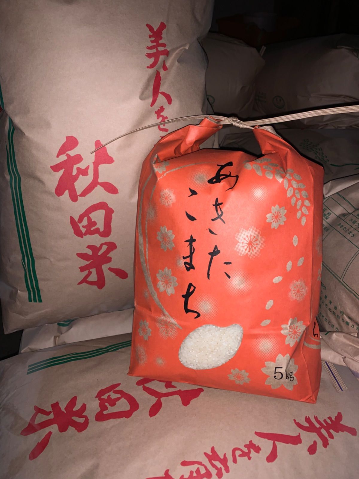 令和4年産米 秋田県産  あきたこまち　玄米　大容量10kg🌾-2