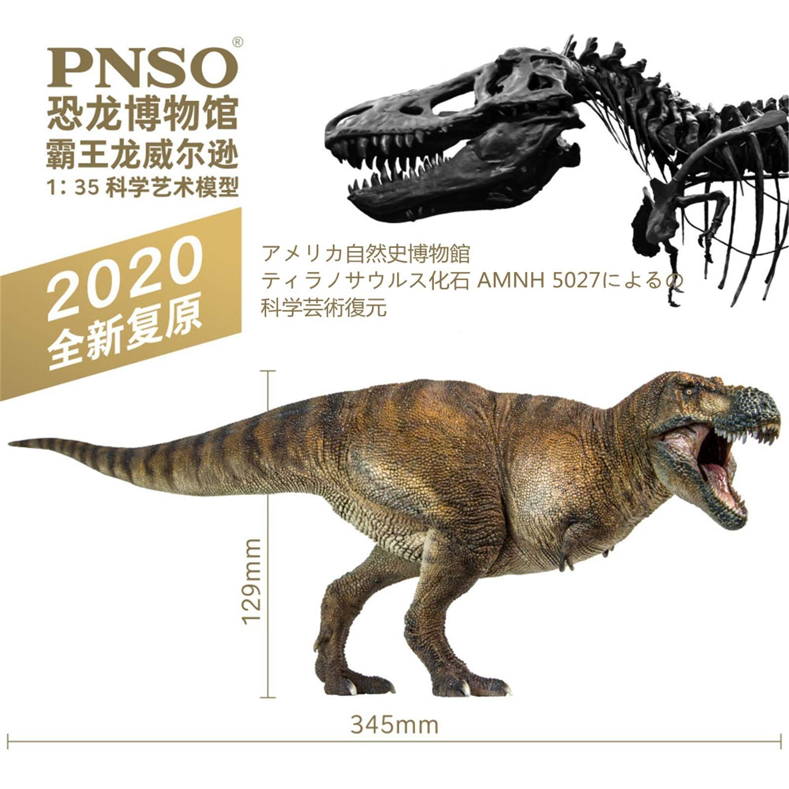 サイズ