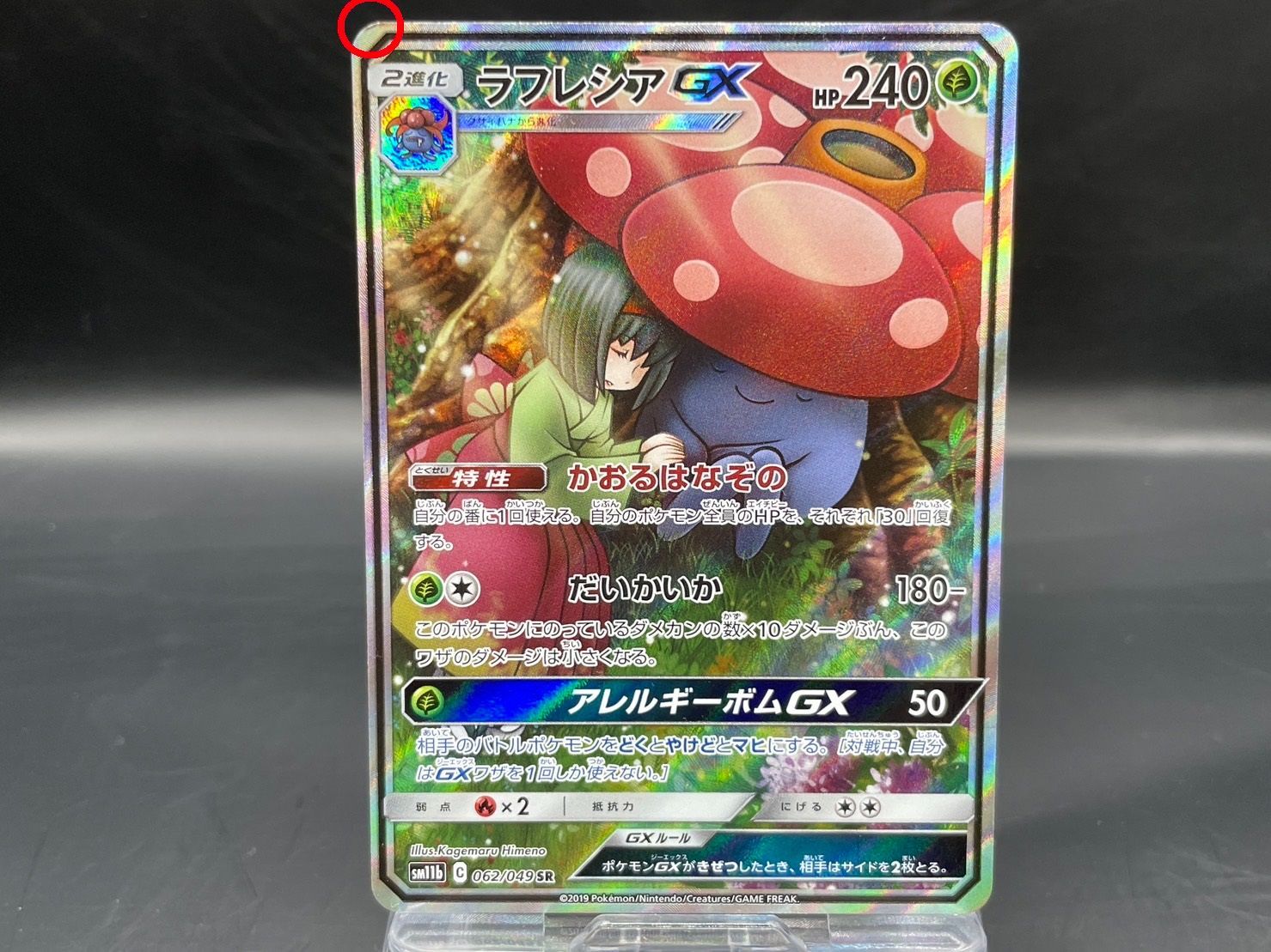 SM11b 062/049 ラフレシアGX SR SA スペシャルアート ポケモンカード 