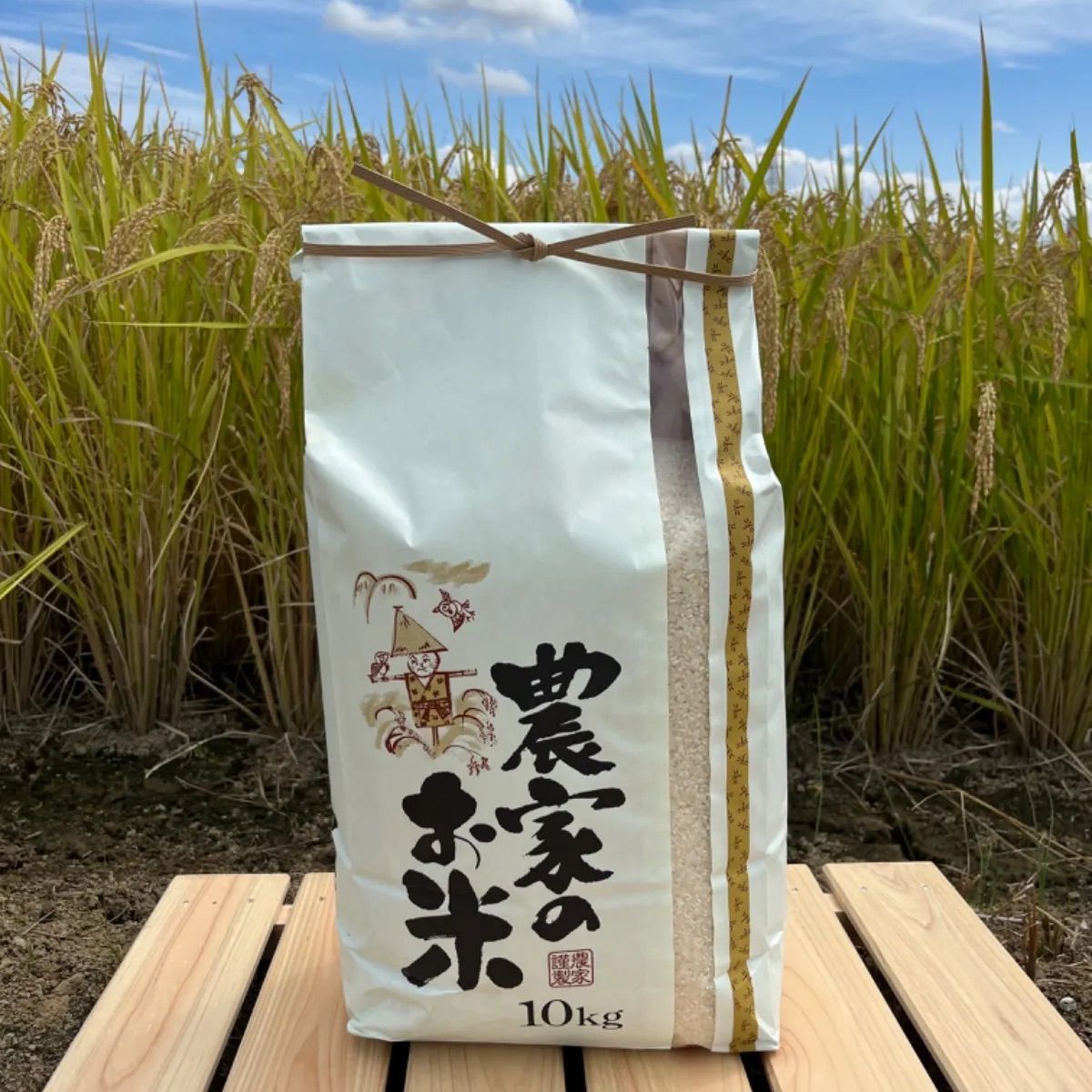 新潟県産 令和6年度産コシヒカリ 玄米10kg