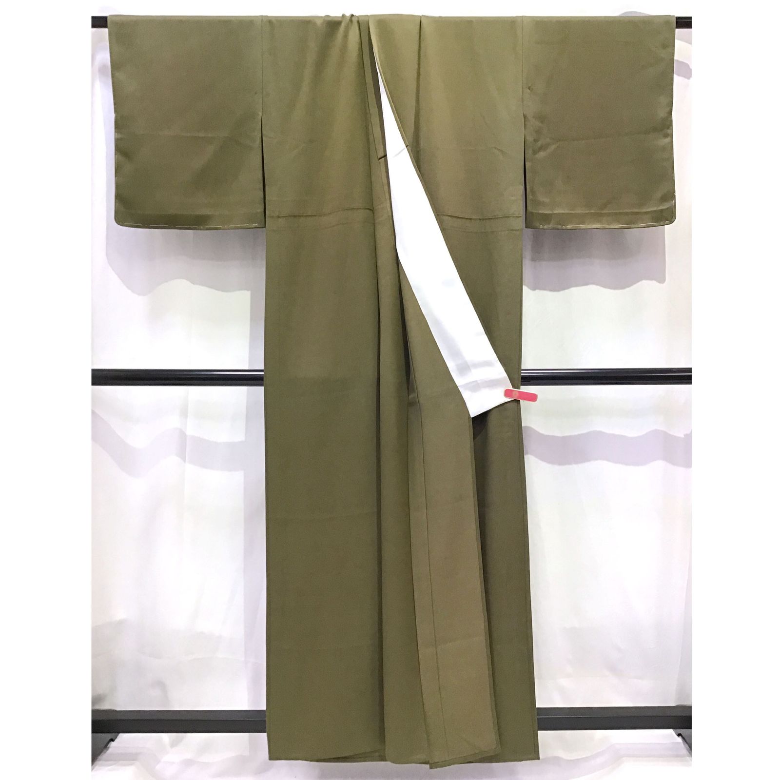 3.28撮影 オンファロデス小ぶり5苗 抜き苗 らくらくメルカリ便