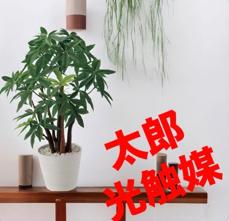 観葉植物 造花 ベンジャミナスプラッシュリアナ (ベンジャミン) 150cm