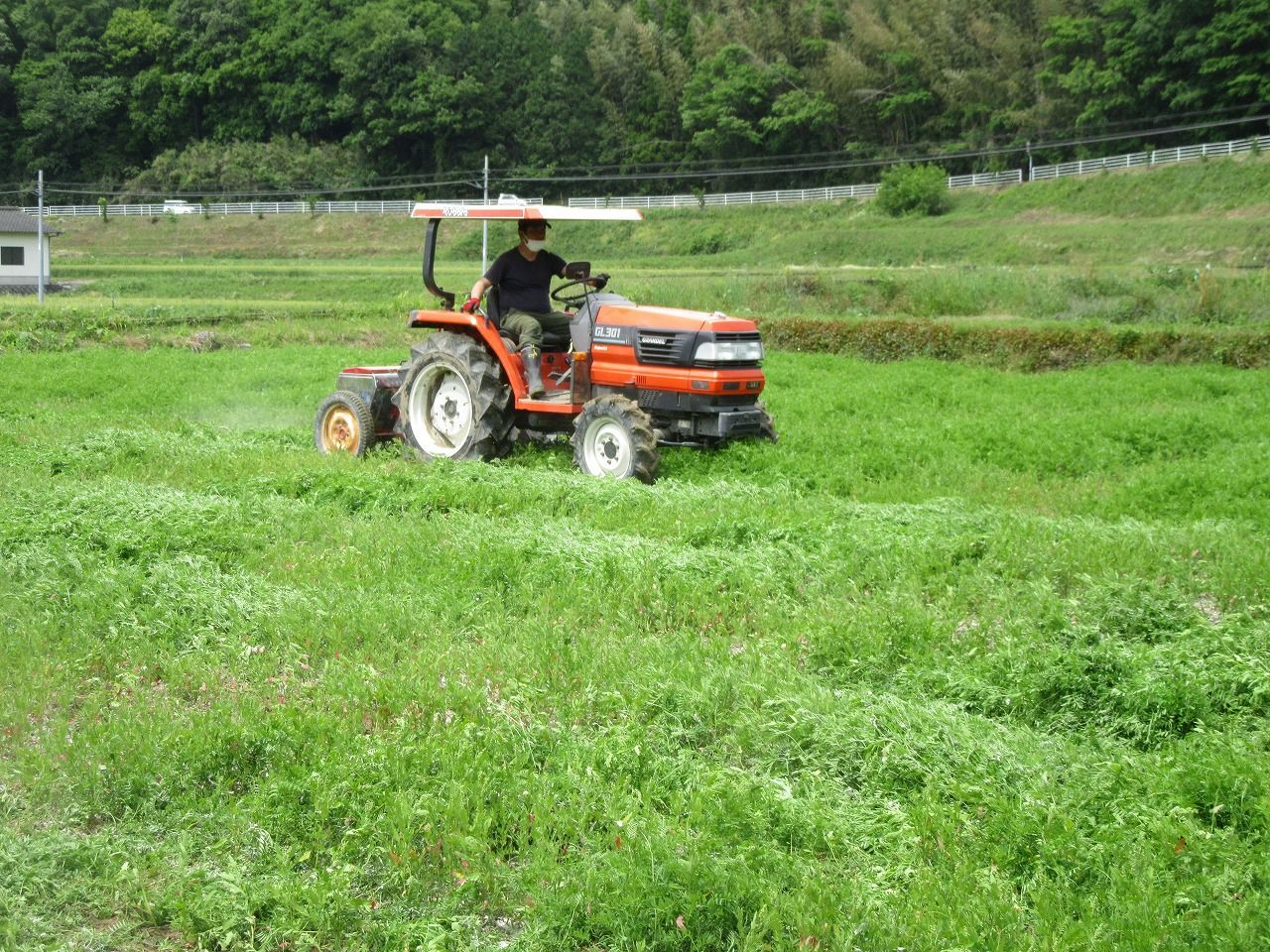 玄米 10kg