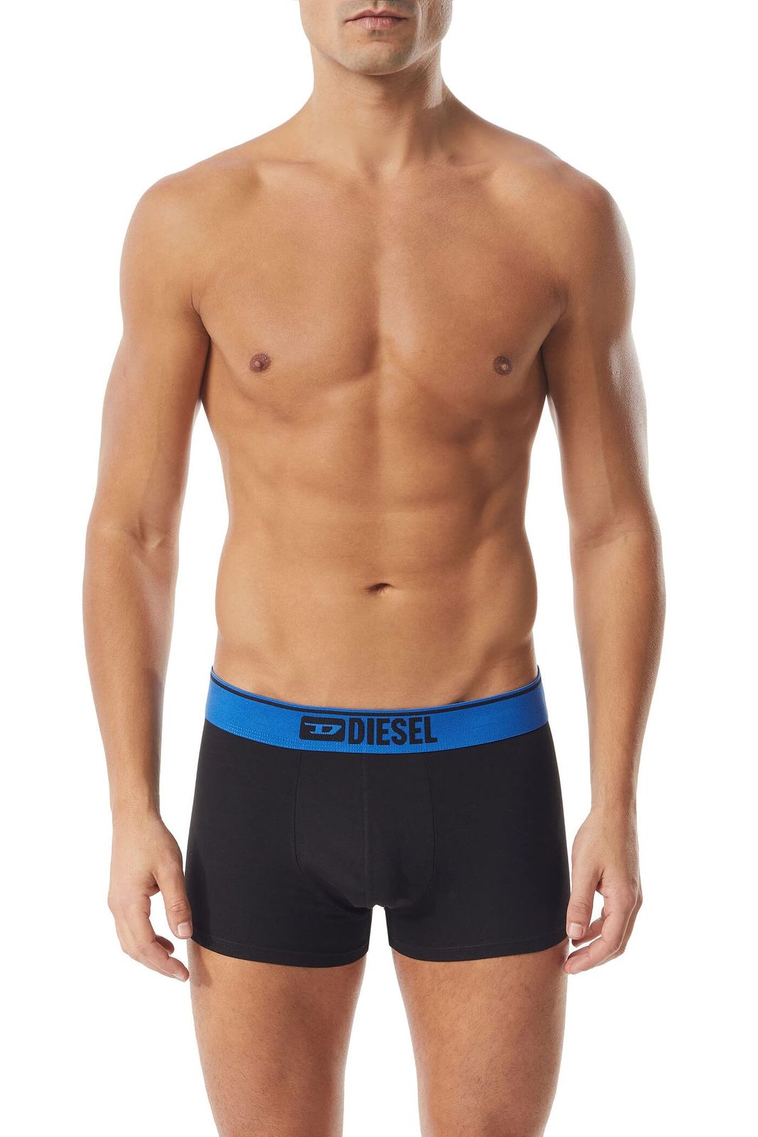 Diesel ディーゼル メンズ アンダーウェア ボクサーパンツ 3枚セット 00ST3V0SFAV L C E5979 C L