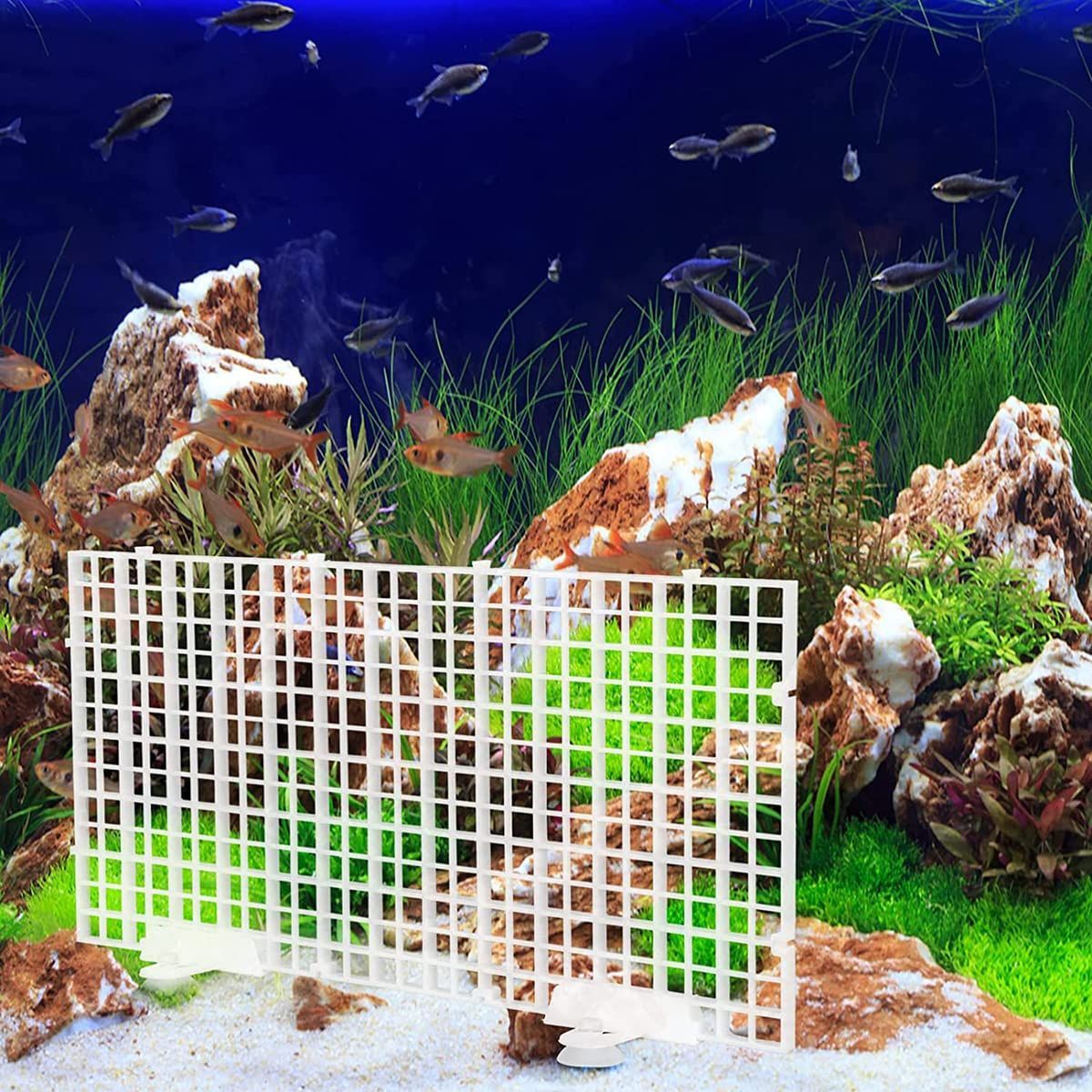 セパレーター 水槽用 - 魚用品/水草