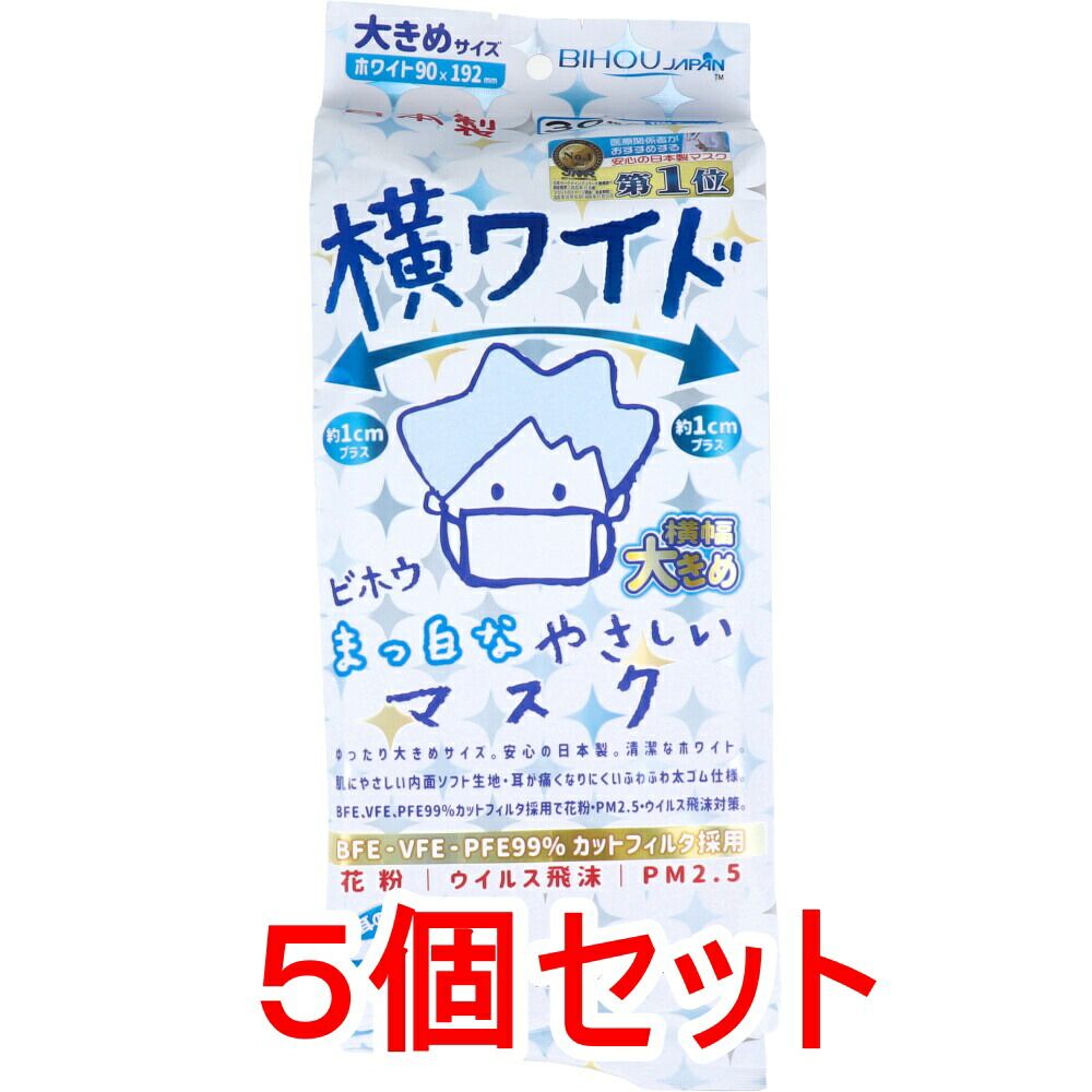 金井金洞 金鵄隠士之恭 大書二行書 紙本134×63㎝ 金井之恭の太字大幅の作品
