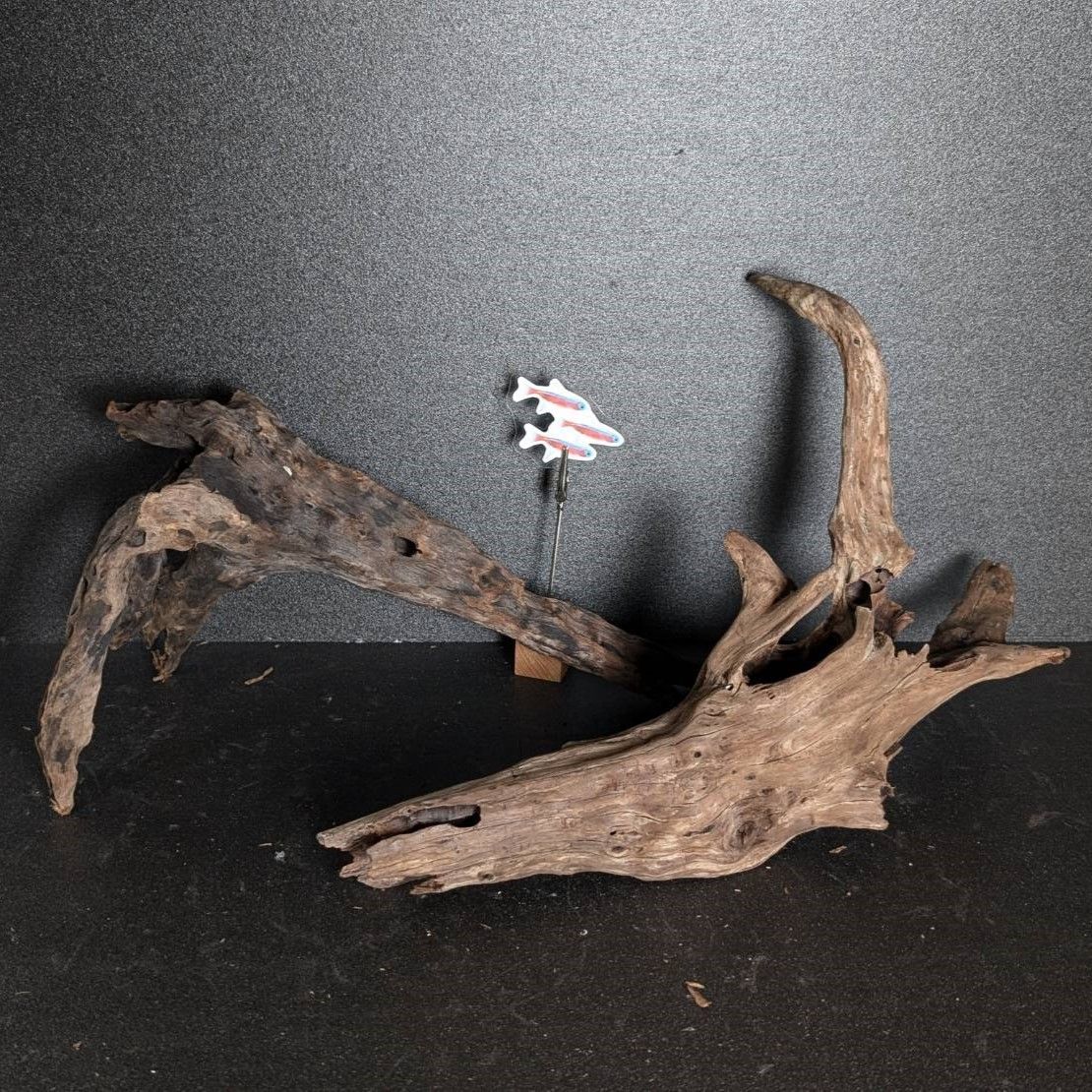 茸形の流木アクアリウム幅13cm高15cm