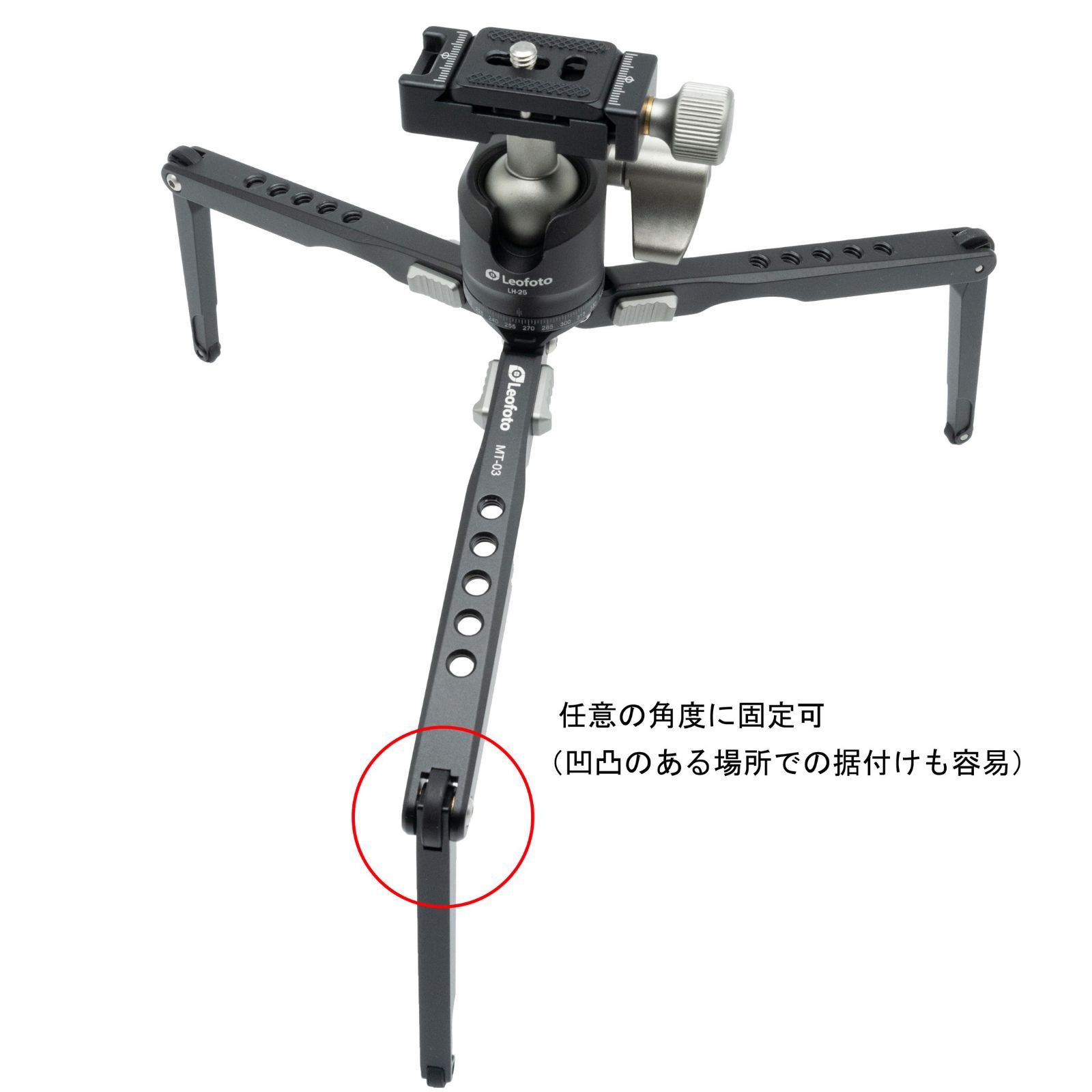 30日間返品保証】Leofoto MT-03+LH-25 ミニ三脚 自由雲台 セット 