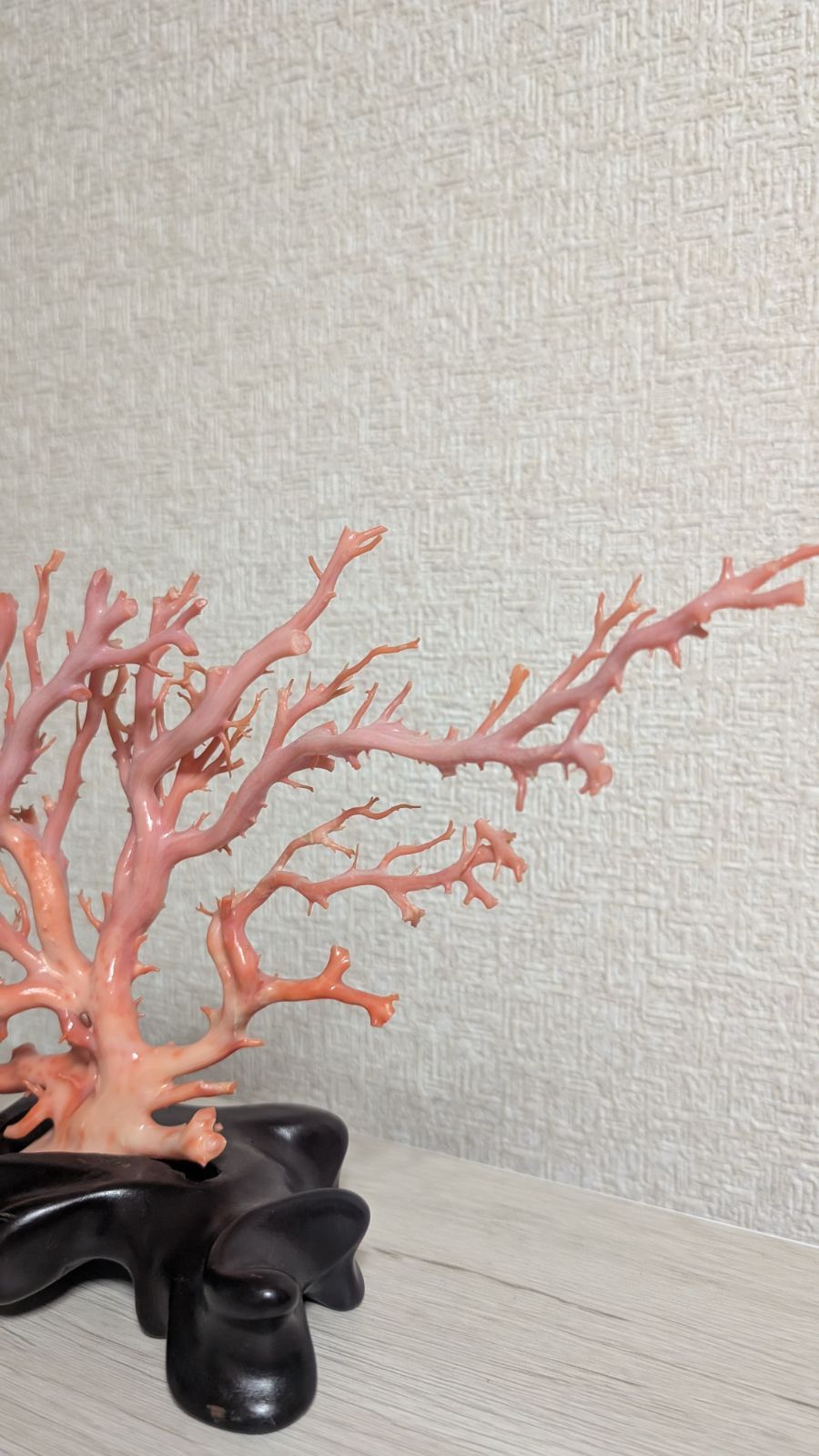 珊瑚