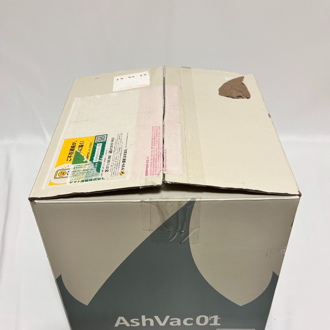 AshVac01 600W