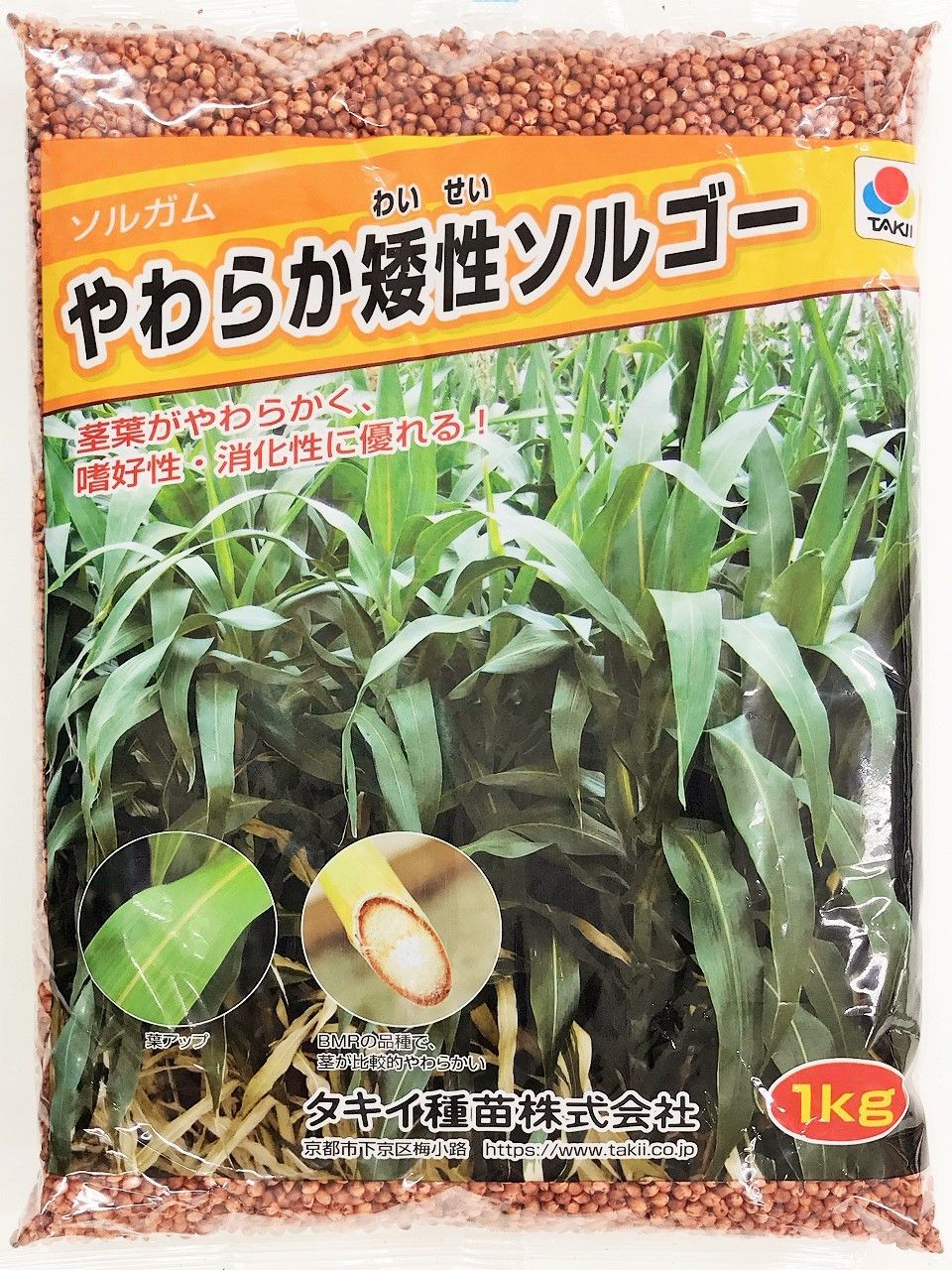 やわらか矮性ソルゴー
