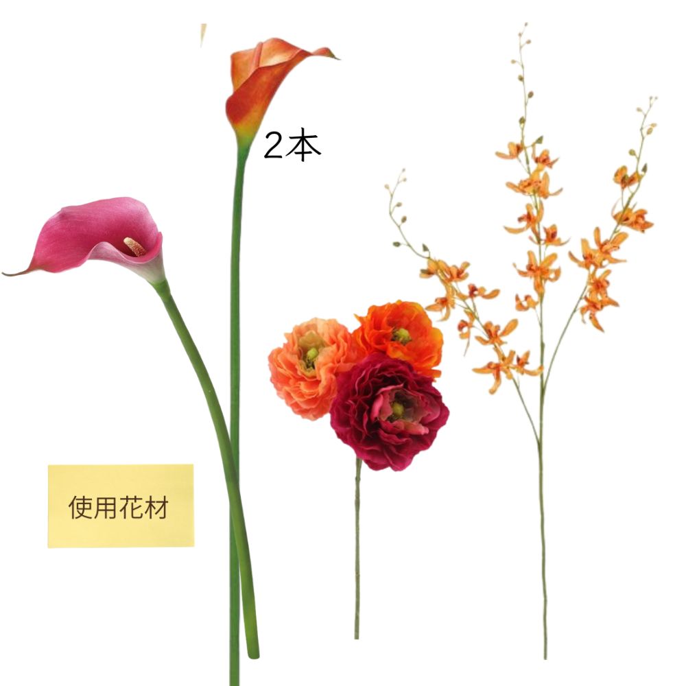 パンパス モデルルーム装飾