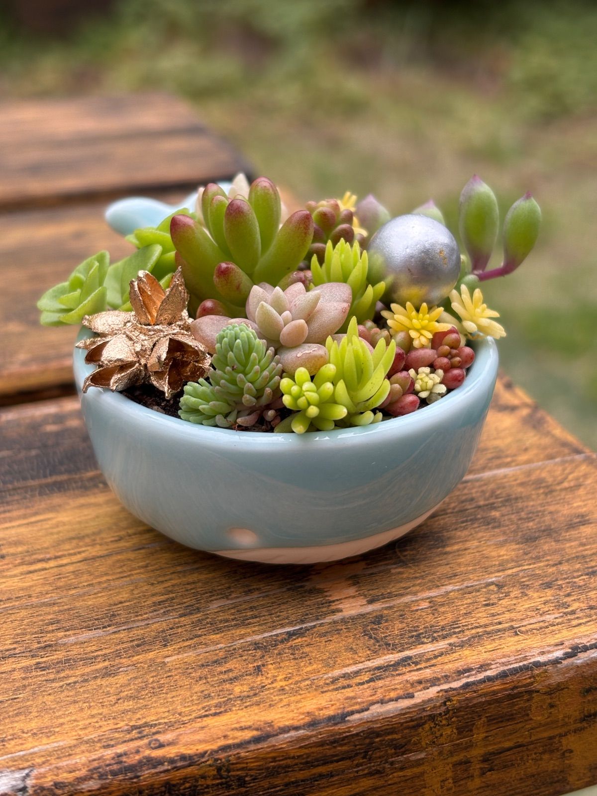 多肉植物＊寄せ植え＊ころころくじら＊そのまま飾れる【2個セット】