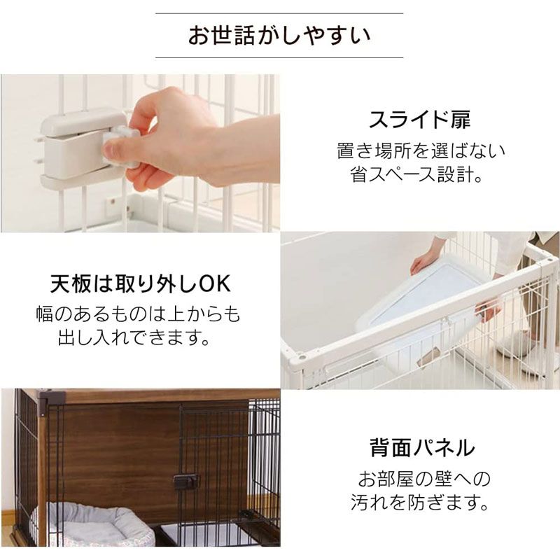 犬
