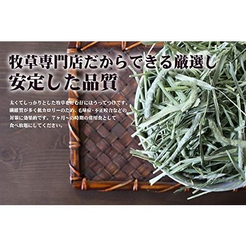 牧草市場 スーパープレミアムチモシー 1番刈り 800g