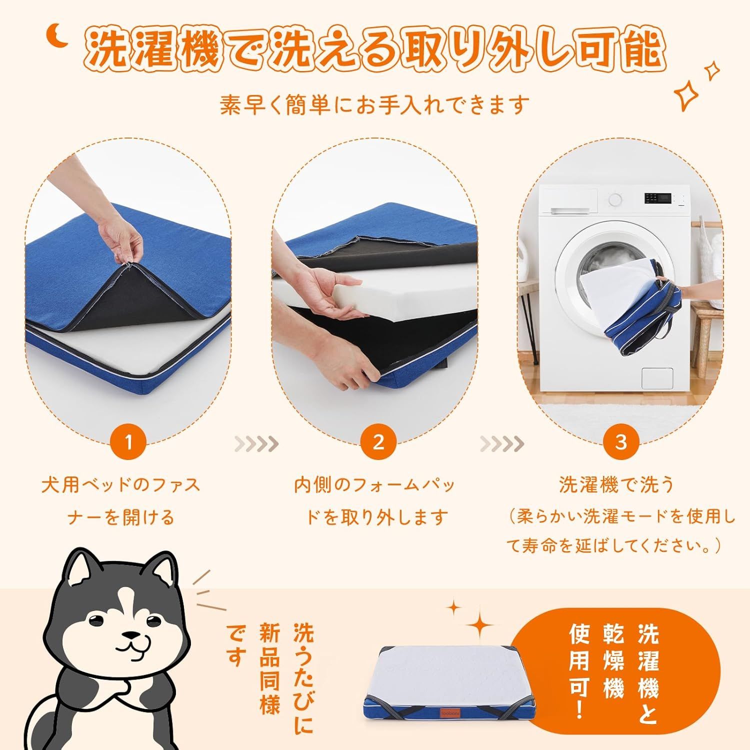 老犬