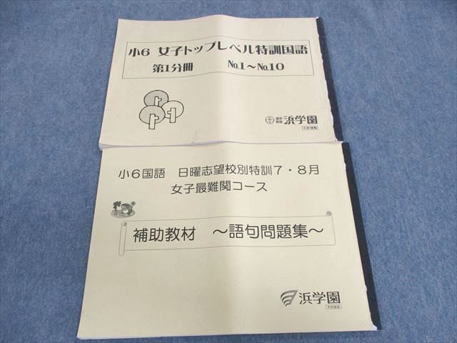 UP02-096 浜学園 小6 女子最難関コース 補助教材/トップレベル特訓 国語 第1分冊 2019 計2冊 11 S2D - メルカリ