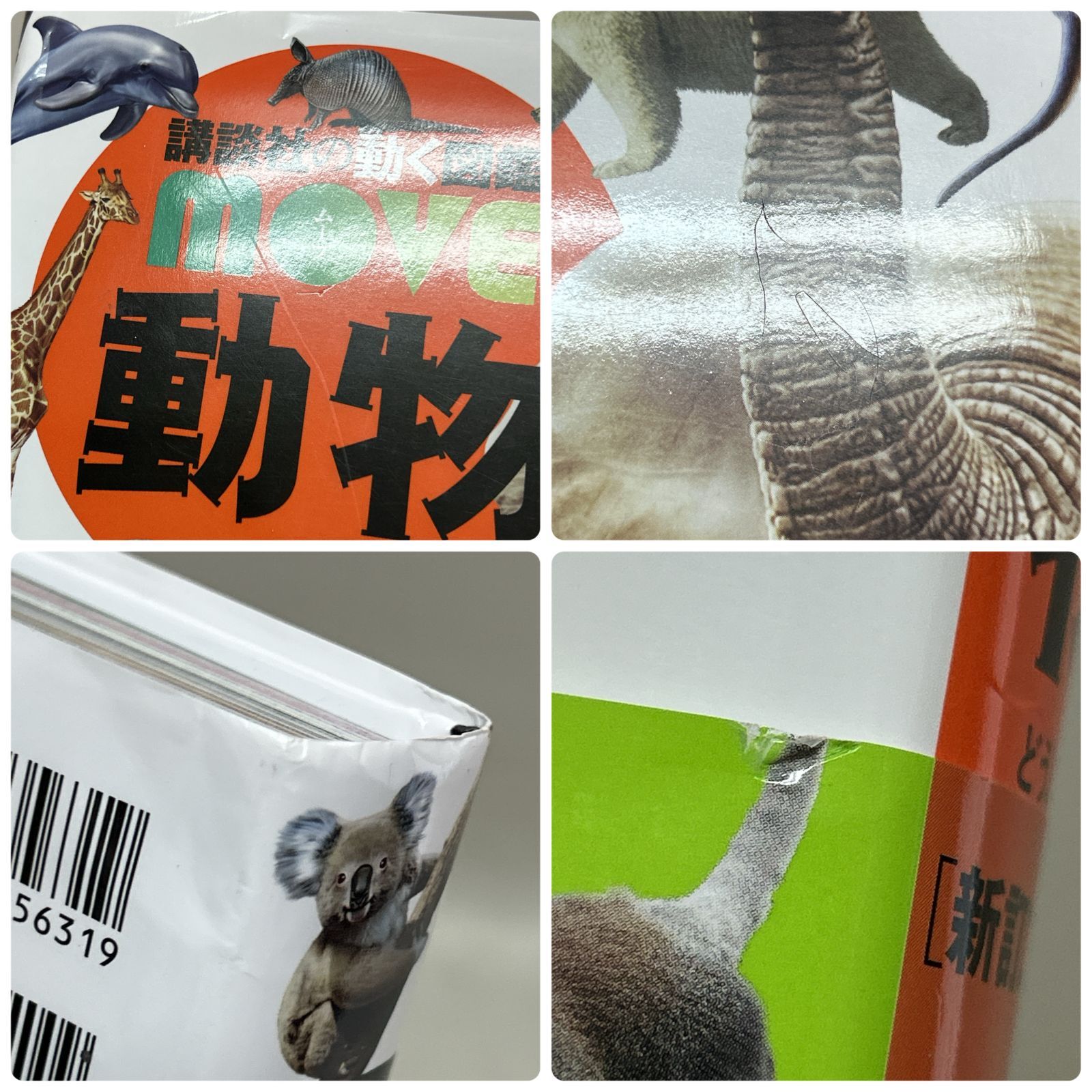 浜館04-528】 講談社の動く図鑑 MOVE 動物 [新訂二版] DVD付き 【中古
