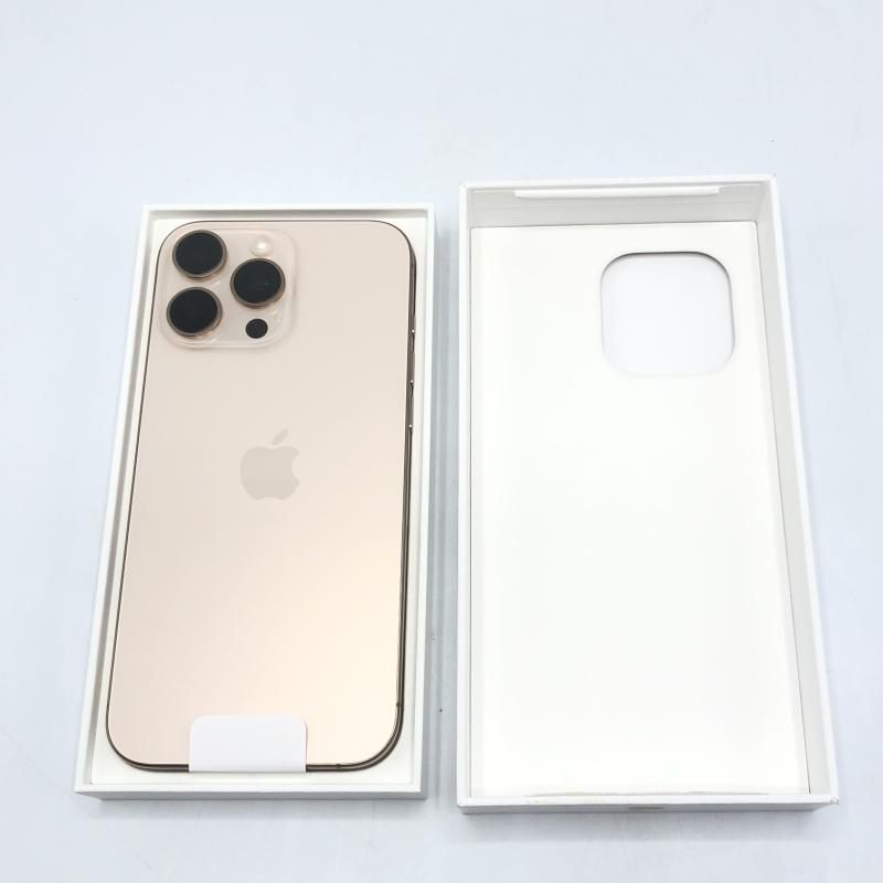 Max 256GB
