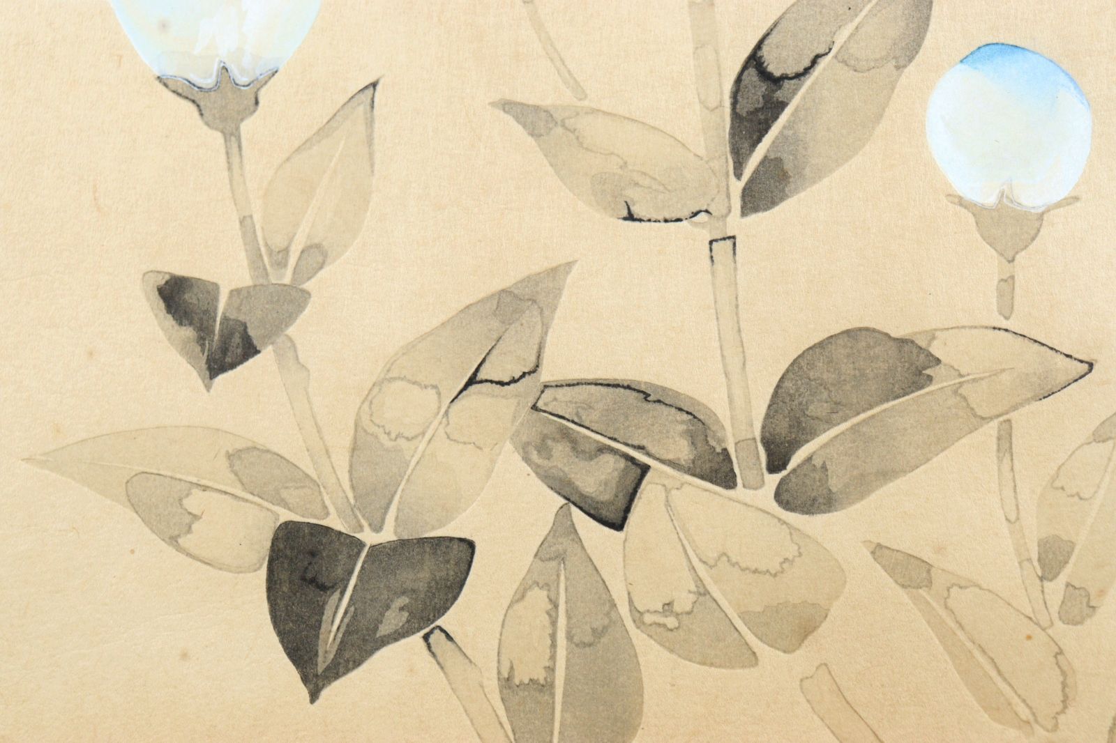 堀文子 「桔梗」 木版画 36/100 アート出版 唐物 骨董 古美術 楾 P48-S