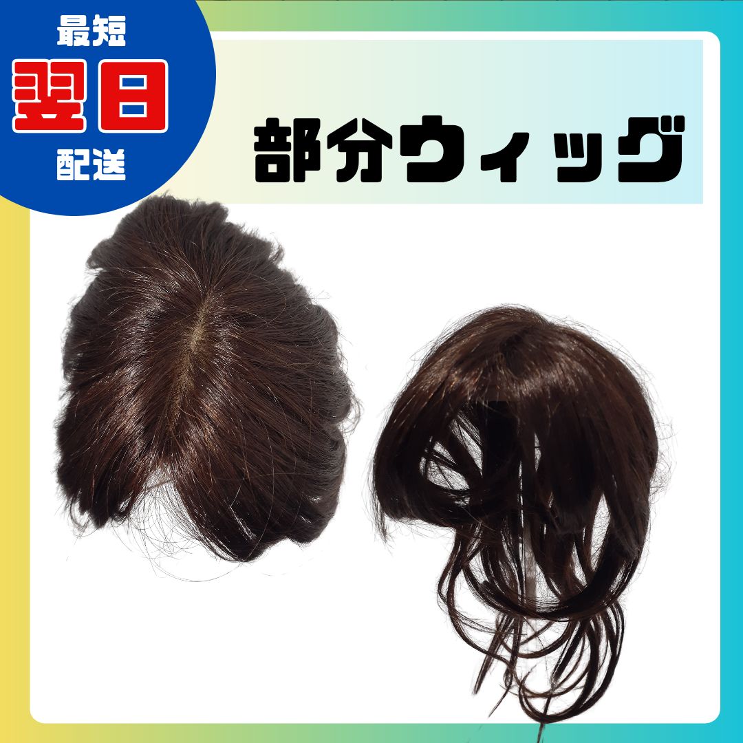 FONTaine ブラウン 頭頂部ウィッグ ダークブラウン 頭頂部ウィッグ SFR-14 頭頂部ウィッグ 25cm