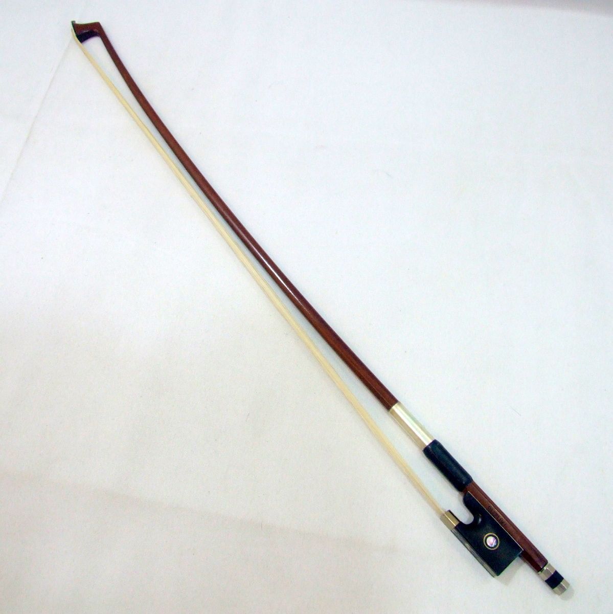 鈴木バイオリン